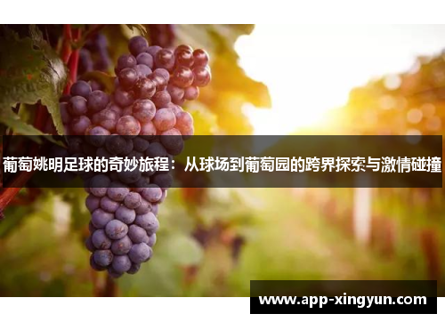 葡萄姚明足球的奇妙旅程：从球场到葡萄园的跨界探索与激情碰撞