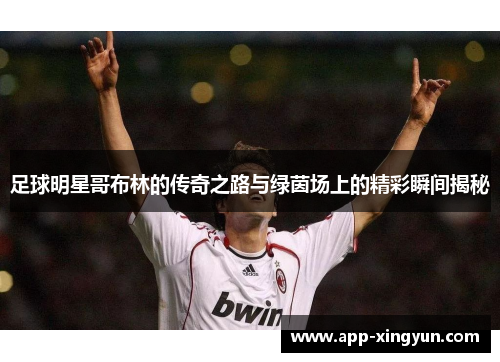 足球明星哥布林的传奇之路与绿茵场上的精彩瞬间揭秘